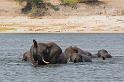 044 Botswana, Chobe NP